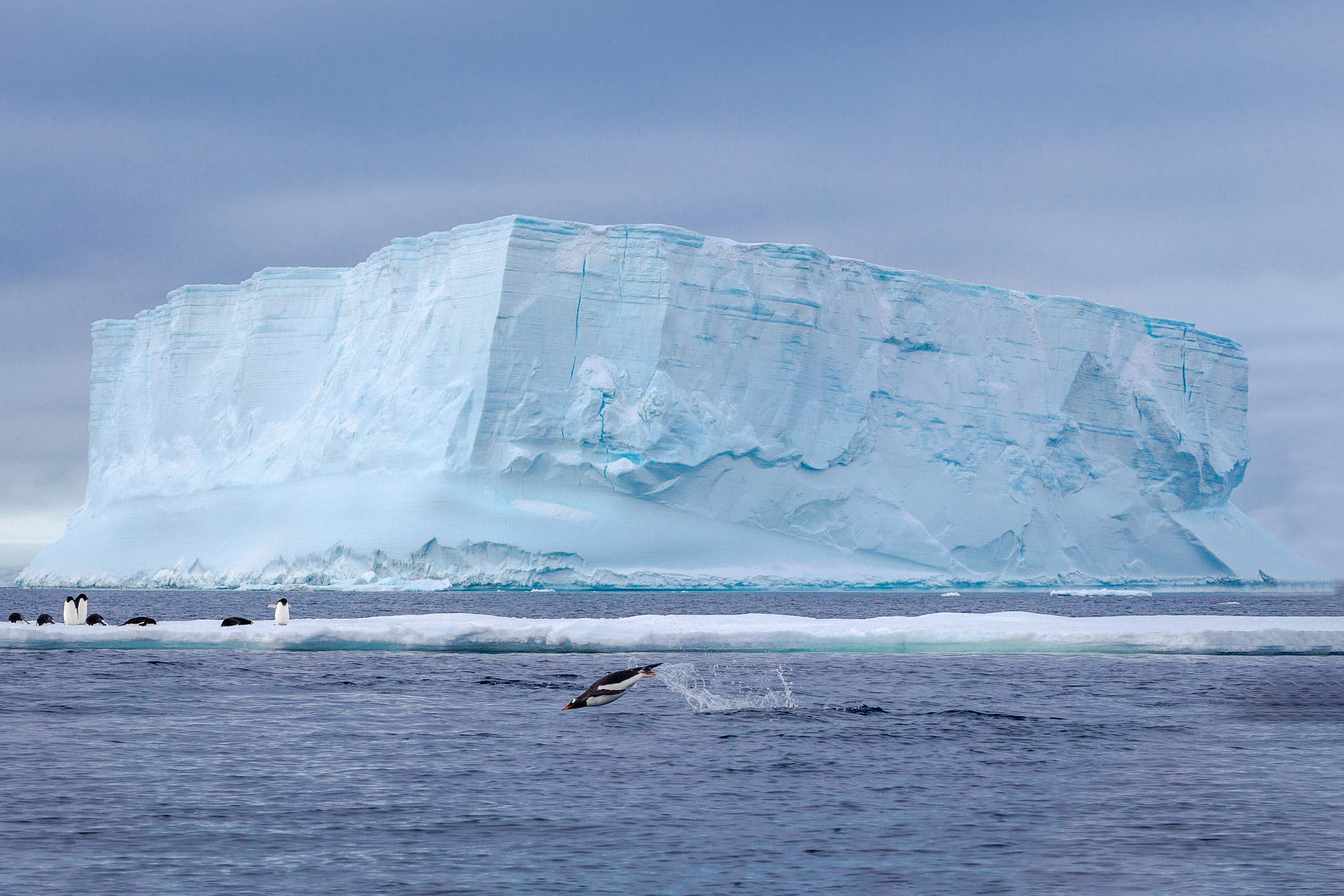 RogerPimentaPOLAR-54
